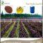 High Quality Perilla Seed Oil, Perilla Cooking Oil, 100% Organic Perilla Oil