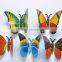 Screen Printing 4 inch Plastic Butterfly Shape Fridge Magnets, Promotional Mini Magnet for Fridge