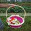 New Gifts Arts Wholesale Cheap Handmade Custom Cheap Fancy Wicker Basket for Gift With Sawing Handle Fruit Baskets