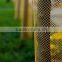 Plastic extruded tubular net for tree shelter