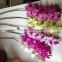 Real touch PU blue wholesale artificial flower orchid