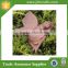 Wholesale Resin Angels Garden Decoration With Sign