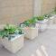 Dutch buckets for growing tomatoes hydroponic system