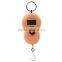 Waterproof Stainless Steel Fish Portable Scale