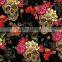 Wholesale Hydrographic Film Width 1M Water Transfer Printing Aqua Print From China