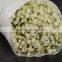 Best Seller Gypsophila Plant .Com Cut Flower Babybreath