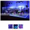 Shenzhen Cheap High Power Marine Aquarium LED Lighting LED Coral Reef LED Aquarium Light