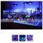 Quality Assured 72W-288W Dimmable LED Aquarium Light For Marine Fish Tank Coral Reef