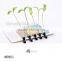 Fashion Floral Antenna Hairpin Grass Flower Children Adult Cute Hair Clips