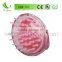 Good gift Plastic Wholesale Bulk Hair Brushes DBR-115