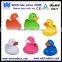 Weighted floating rubber race duck                        
                                                Quality Choice