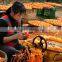 Chinese original Healthy Food the Dried Persimmon wholesale from xi'an