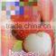 Lychee Juice Drink