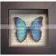 Shabby Chi Glass Printing Wooden Framed With Butterfly