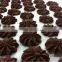 OMEGA commercial automatic cake/cookie depositors