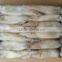 frozen whole round squid
