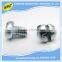 China OEM manufacturer high precision phillips head metal decorative screw