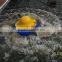 aqua aerator-floating surface aerator for fish pond