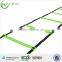 Zhensheng agility ladder
