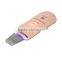 Skin Care Device Beauty Machine Ultrasonic Skin Scrubber Spatula For Salon