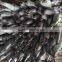 Frozen Black Spanish Mackerel