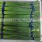 2015 china young garlic shoot , 250g one boundle