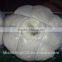 27-28mic Chinese Sheep Wool With Certification