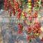 2014 Indeterminate Growth High Yield TY Resistance Pink Cherry Tomato Seeds For Growing-King Pearl