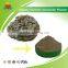 Most Popular Organic Coriolus Versicolor Powder