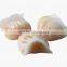 Good quality full stainless steel dumpling machine for home