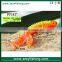 Factory direct fishing lure multi-tail bait