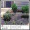 Gardening Use PP Non woven Fabric