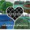 100% BEIGE Virgin Antihail net/HDPE bird Net