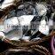 Top Quality Frozen Moonfish On Sale