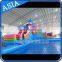 New Design Lovely Dolphin Giant Inflatable Water Park with Colorful Swiming slides for Sale