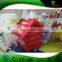 Inflatable Christmas House & Inflatable Bounce House