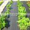 Weed barrier fabric agricultural plastic ground cover