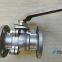 API6D cast steel body floating ball valve