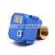 cwx-25s 2.5nm 3v 5v 12v 24v 110v 220v brass automatic water shut off valve with manual function