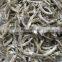 High Quality Dried Fish from VIetnam