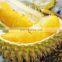 Premium Durian From The nature Of Vietnam