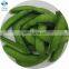 2020 BRC Certified Double Size Stringless IQF Frozen Sugar Snap Peas
