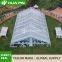 Aluminum Frame PVC TFS Curved Frame Marquee Wedding Party Event Tent For Wedding Party Outdoor Sports