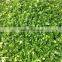 cheap and good Frozen Green onion with BRC certificate