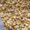 2016 new crop frozen whole sweet corn stick