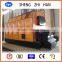 Horizontal Style and Steam Output Industrial Biomass Hot Water Boiler