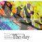 print chiffon fabric Shijiazhuang silk chiffon fabric plain chiffon fabric
