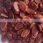 red watermelon seed wholesalers china
