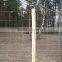 Galvanized or powder coated steel sheep fence