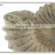 decorative polyresin craft antique sea shell design with wooden imitation base
